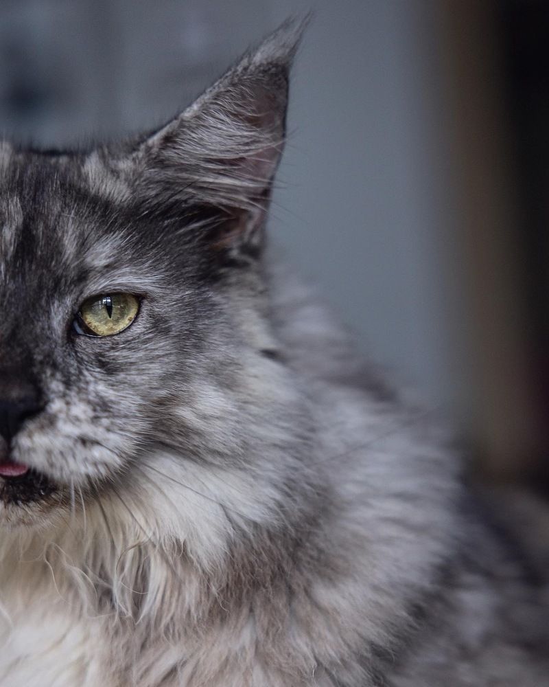 Photograph by Елена Цырюк