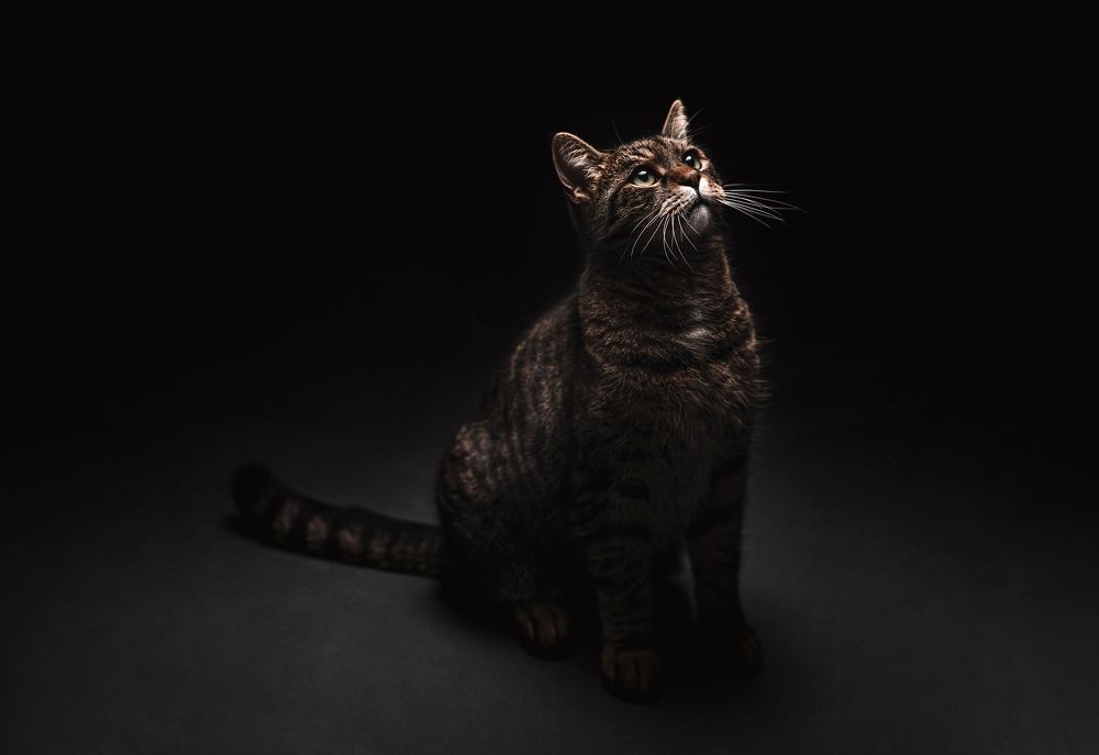 Photograph by Lilli Ellert