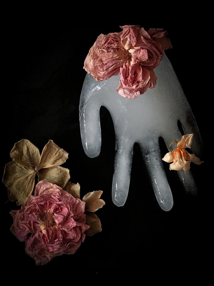 Photograph by Наталья Перерва