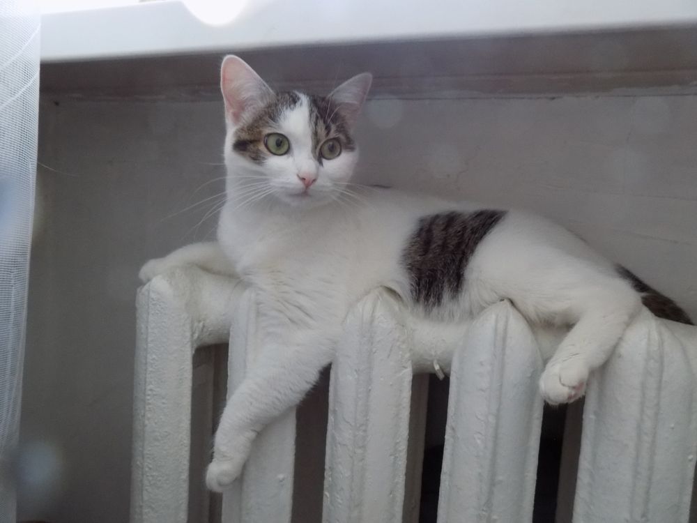 Фотография автора Станислав Рушкис