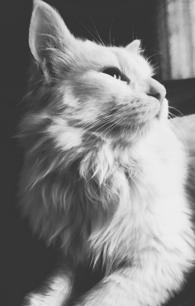 Photograph by Татьяна Ермолаева