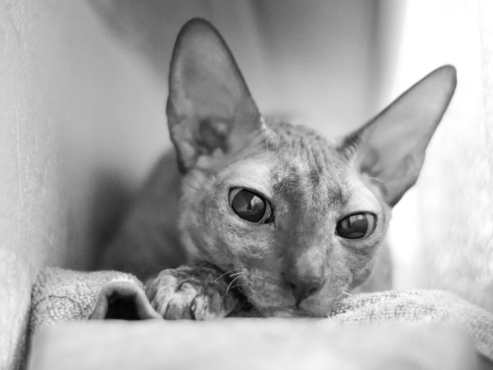 Задумалась...