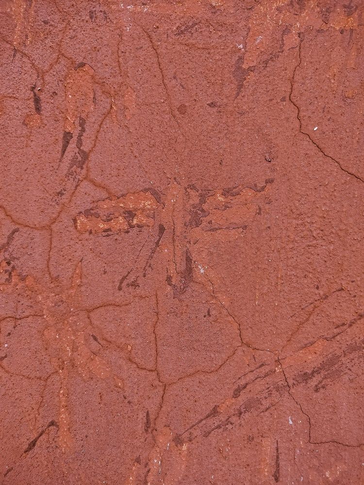 Photograph by Asit Kumar Ghatak