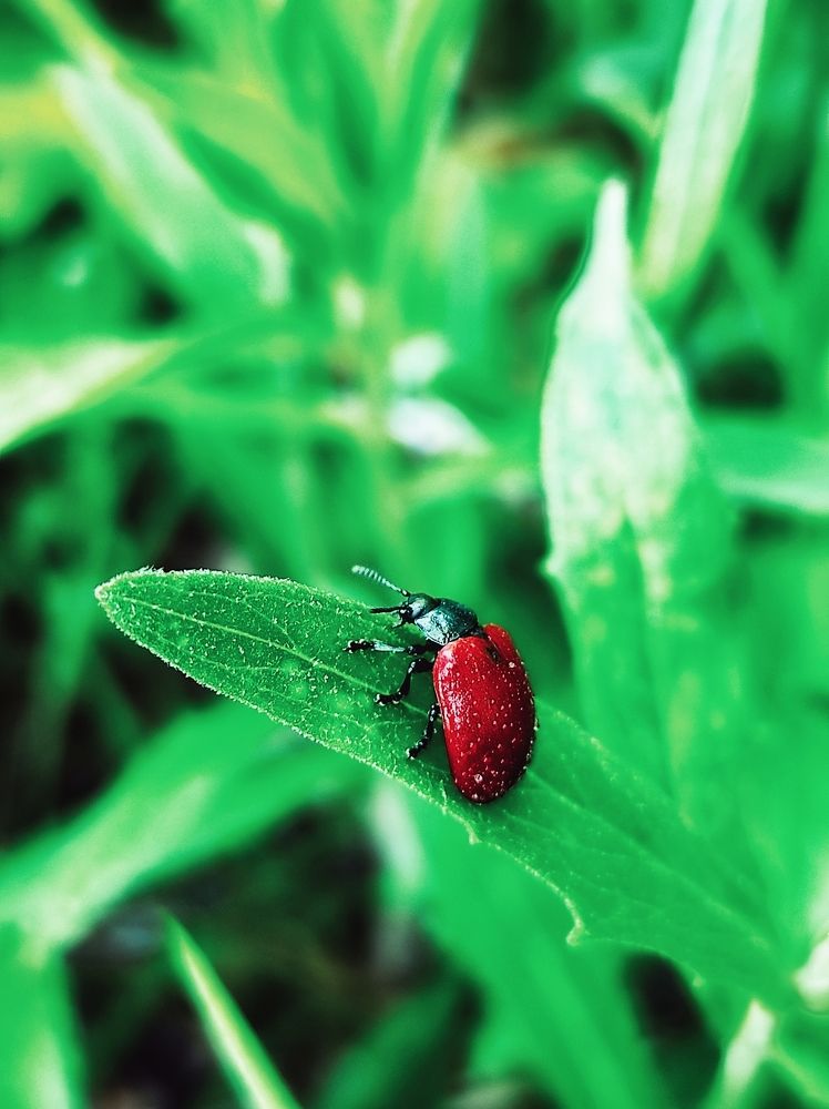 Photograph by Владимир Караман