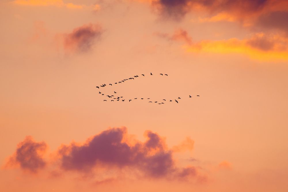 Photograph by Анастасия Киселева