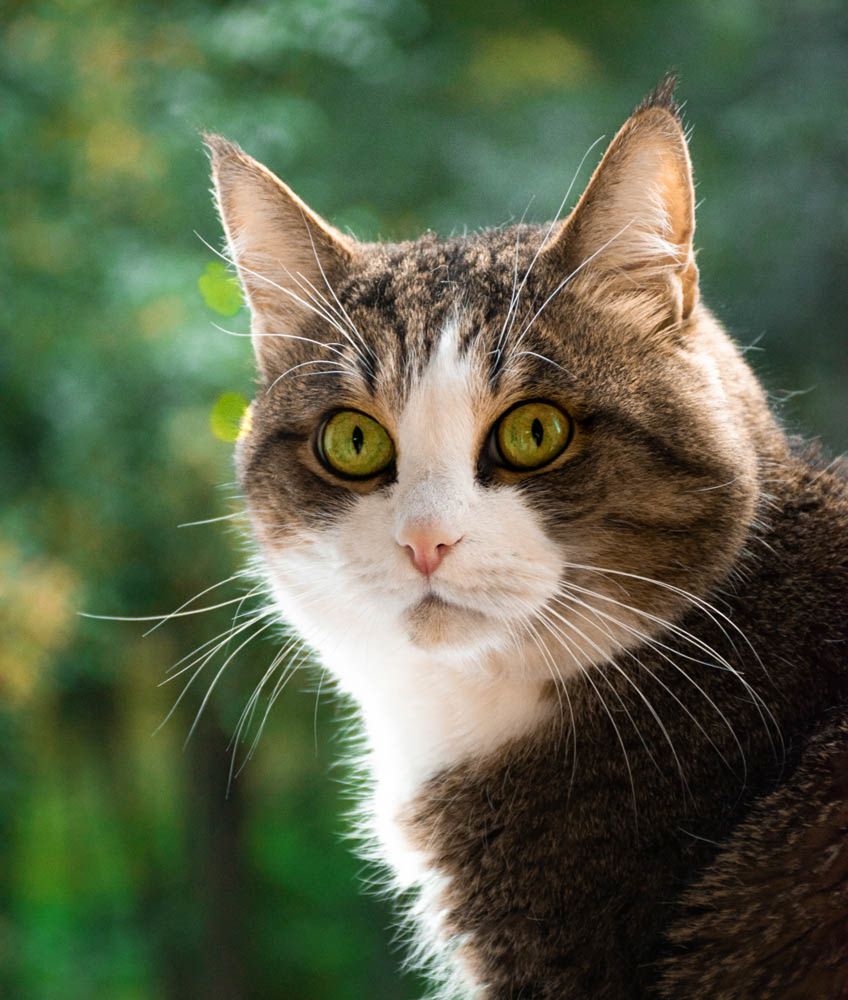 Photograph by Галина Эмберг