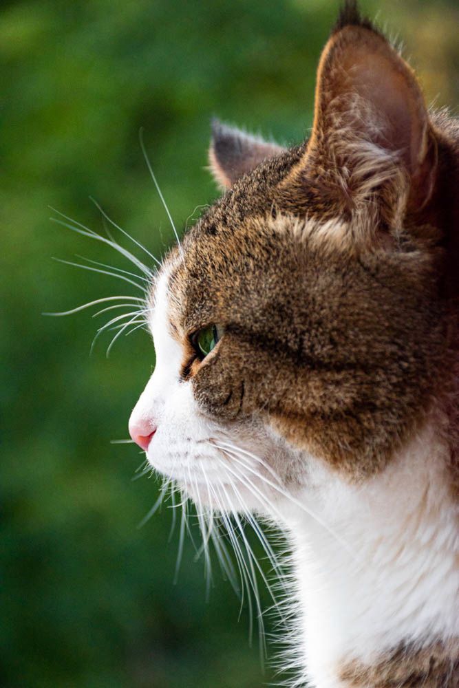 Photograph by Галина Эмберг