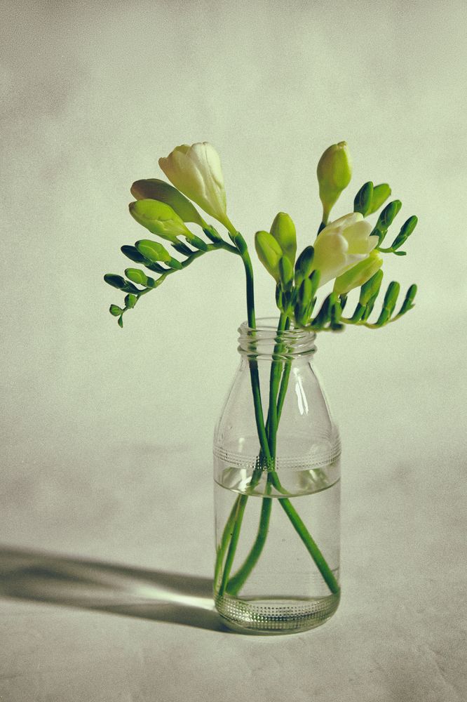 Photograph by Надежда Волковинская