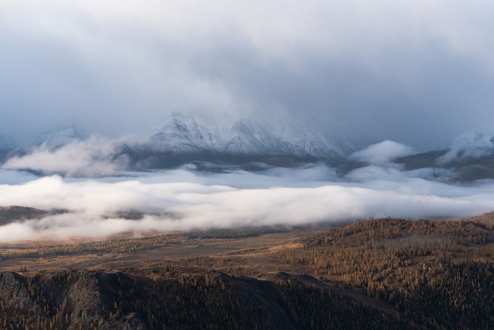 Photograph by Галина