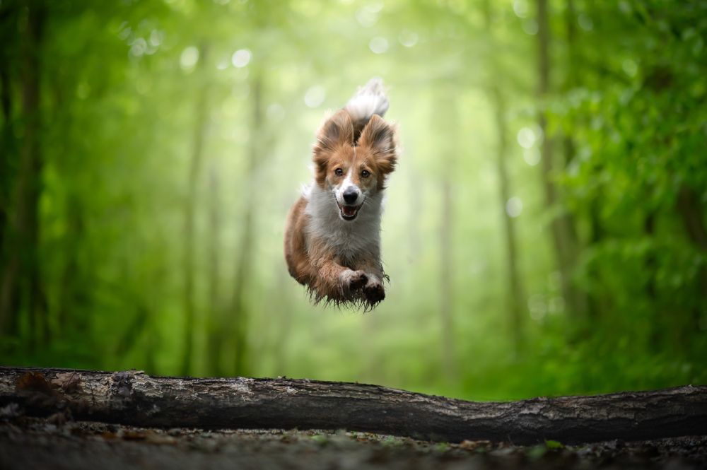 Photograph by Jakub Kudlovsky