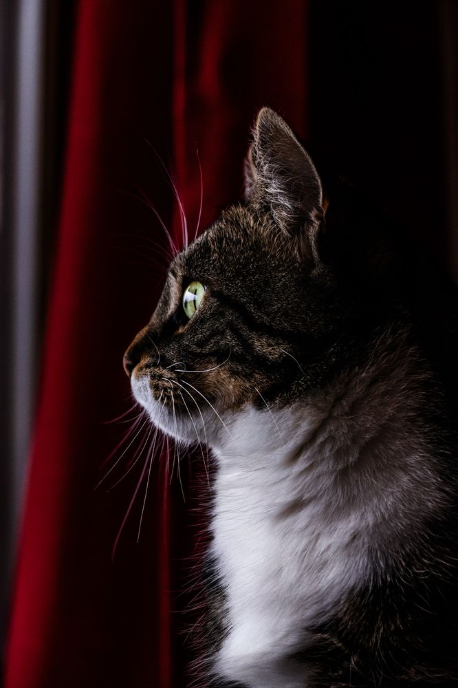 Photograph by Olga Bakke