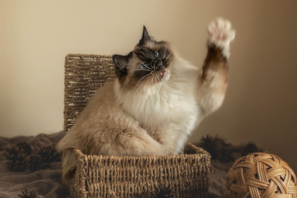 Фотография автора Natalja Bindere