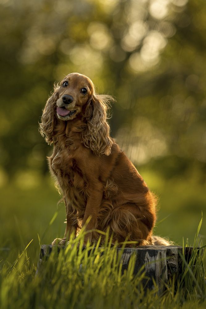 Photograph by Justyna Adamek