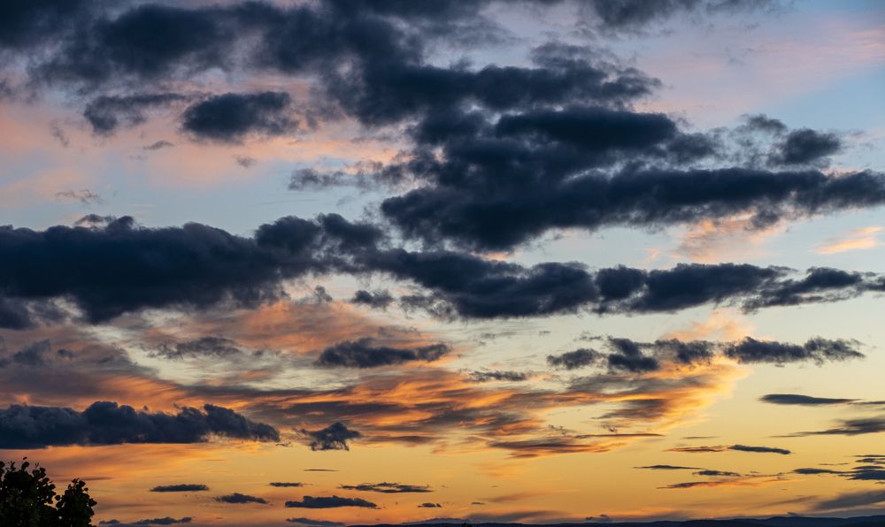 Photograph by Olga Bakke