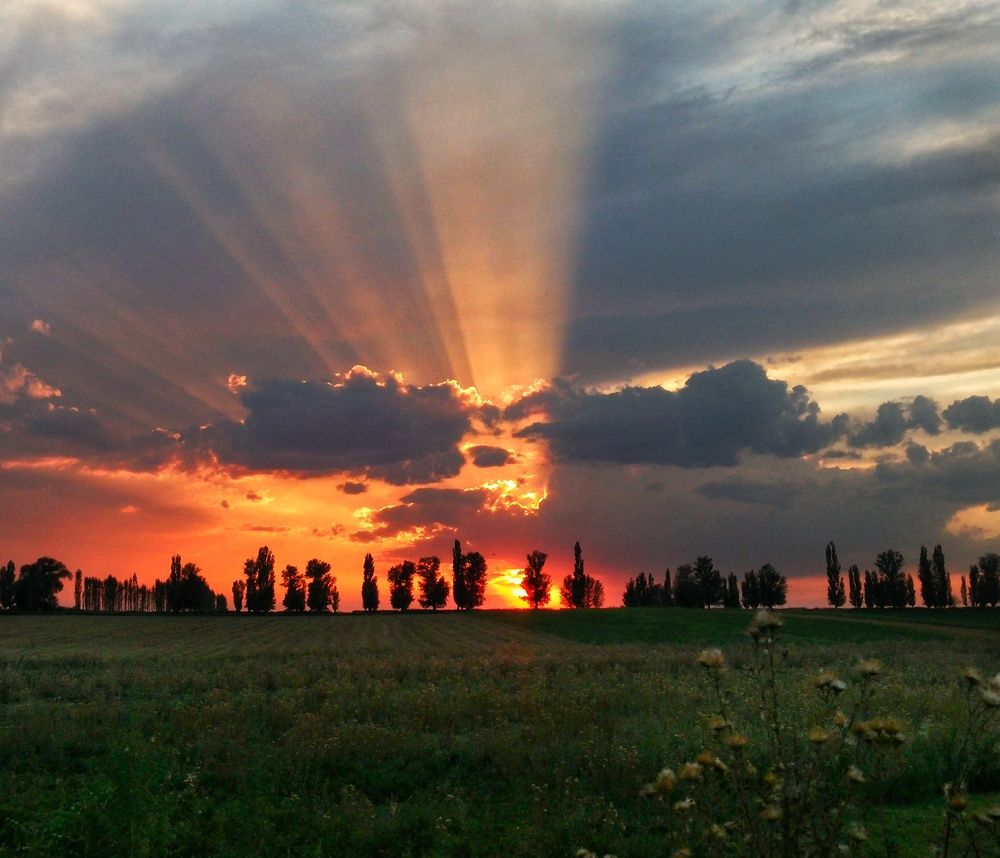 Photograph by Орынбек Асилбаев