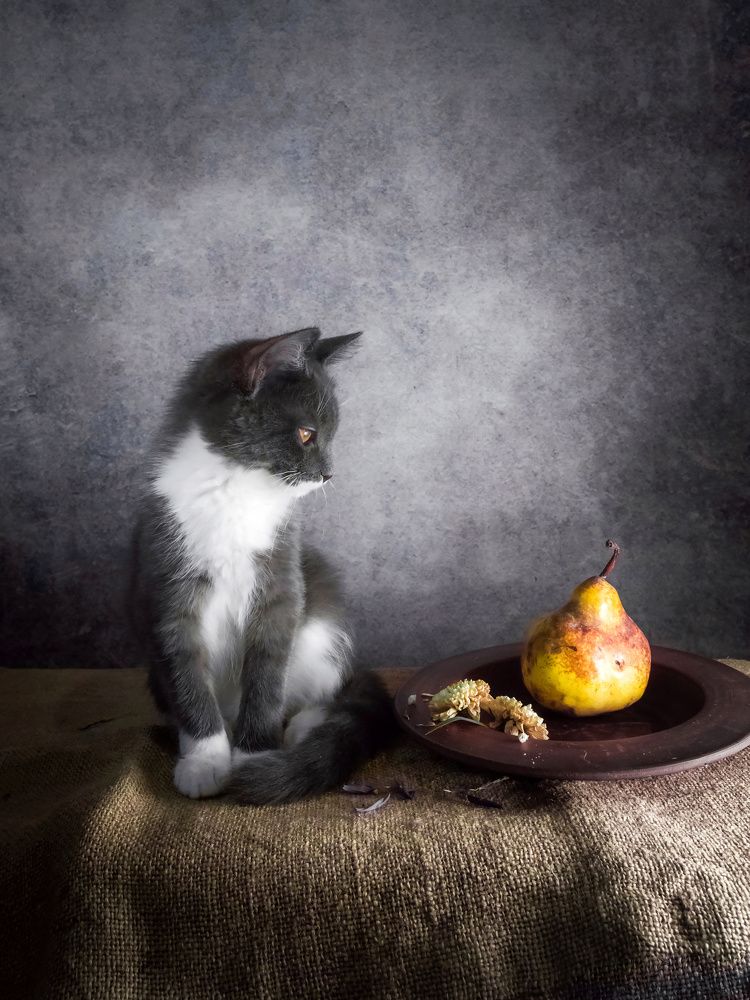 Photograph by KirillK