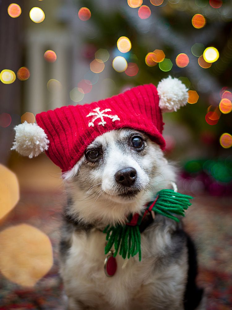 Photograph by Илья Кузнецов