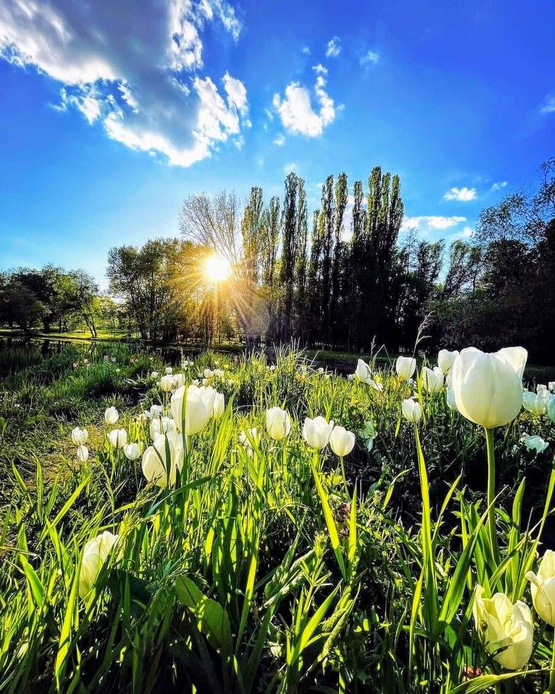 Photograph by Руслан Шулешко