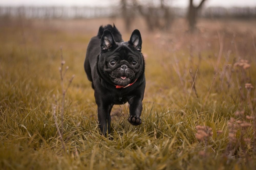 Photograph by Алексей Родионов