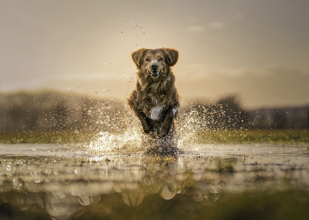 Photograph by Jacqueline Ruediger