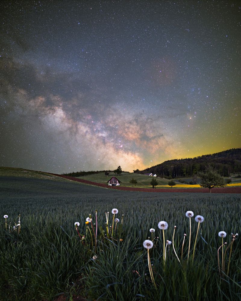 Photograph by Benjamin Barakat