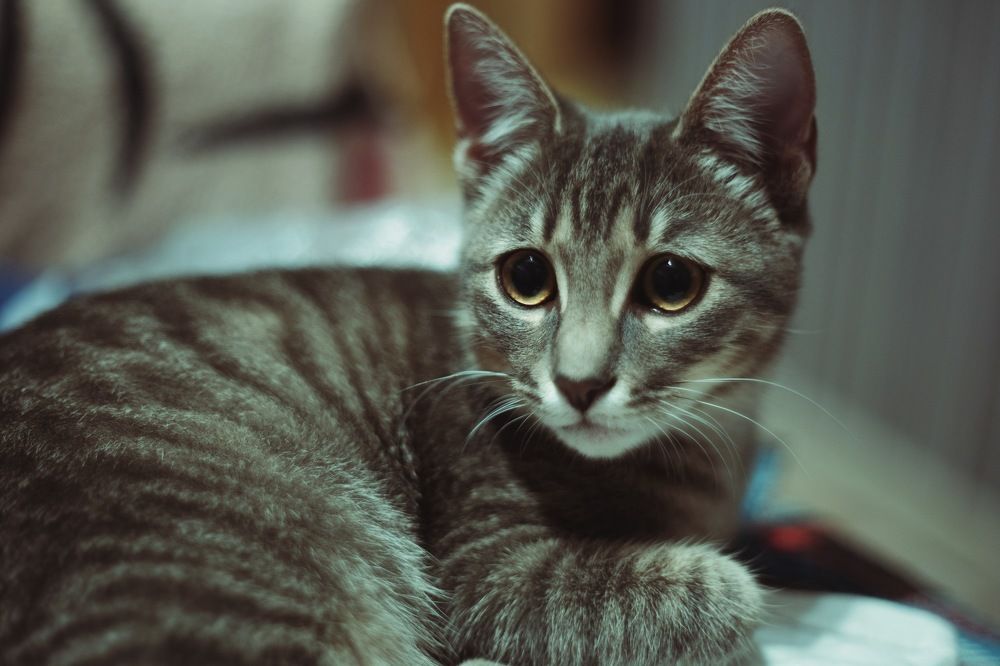 Photograph by Дмитрий Стадницкий