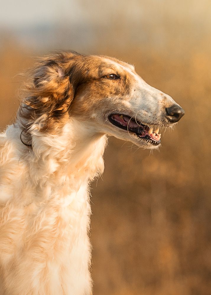 Photograph by Юлия Милосердова