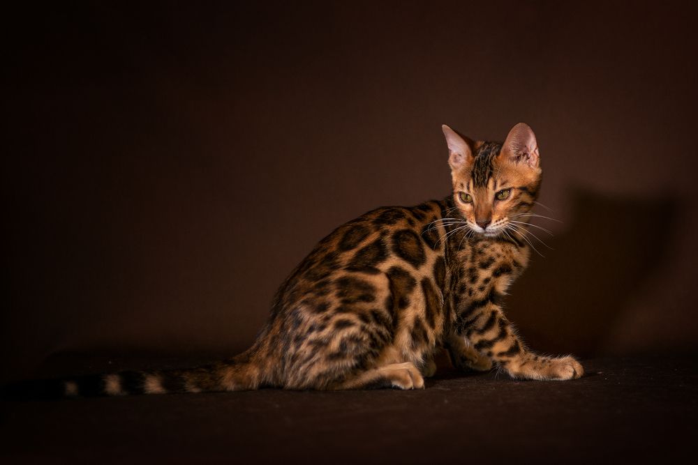 Photograph by Юлия Милосердова