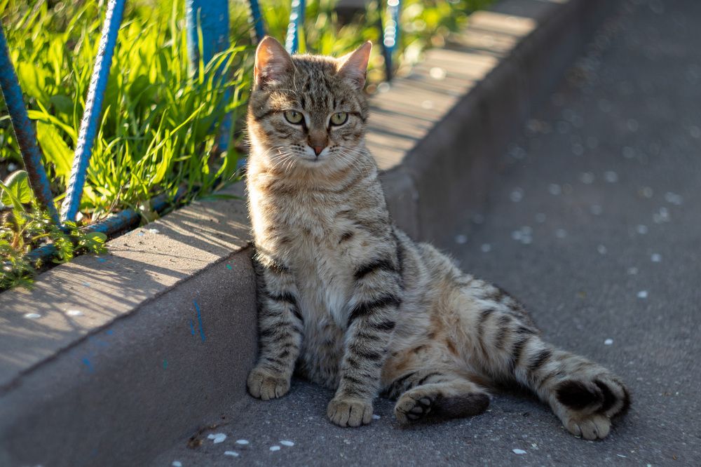 Photograph by Алина Ерехинская