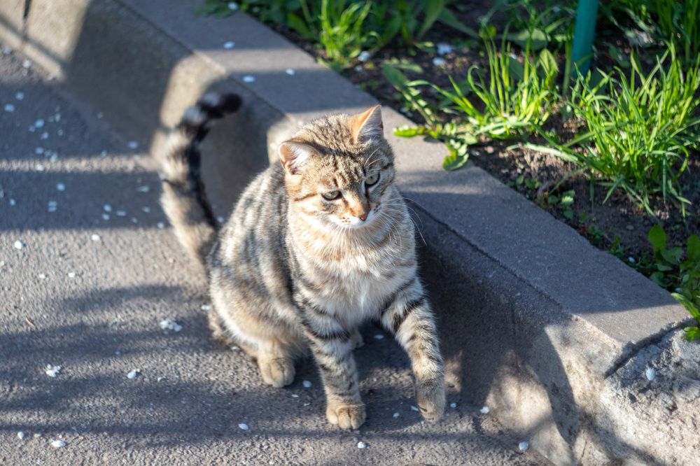 Photograph by Алина Ерехинская