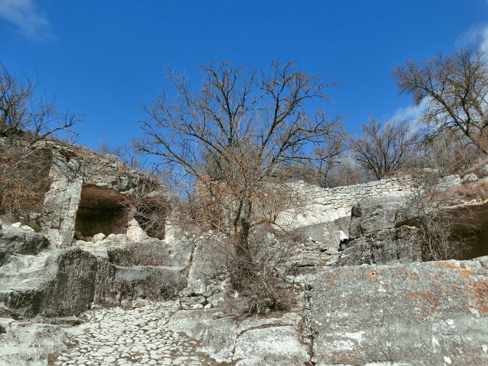 Photograph by Екатерина