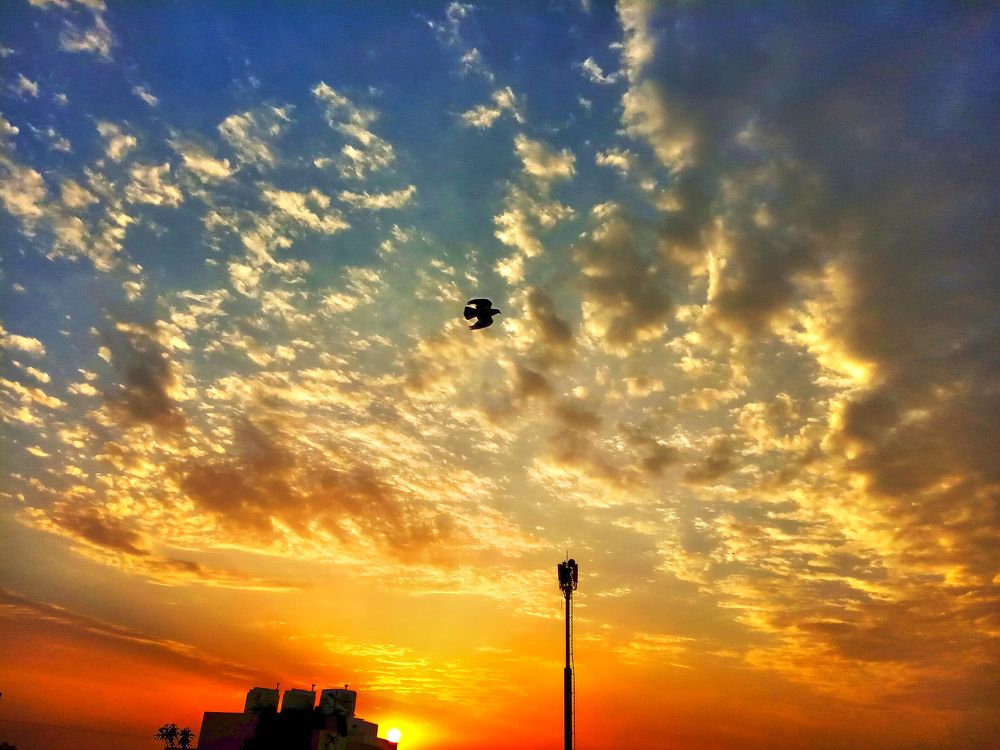 Photograph by Kapil Singh