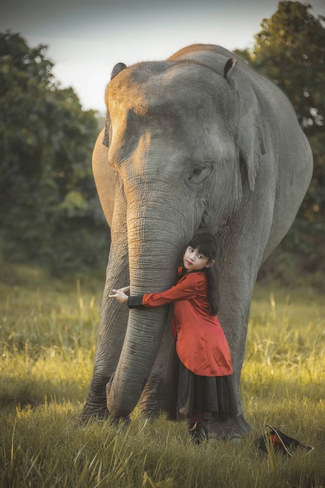 Little Master and Happy