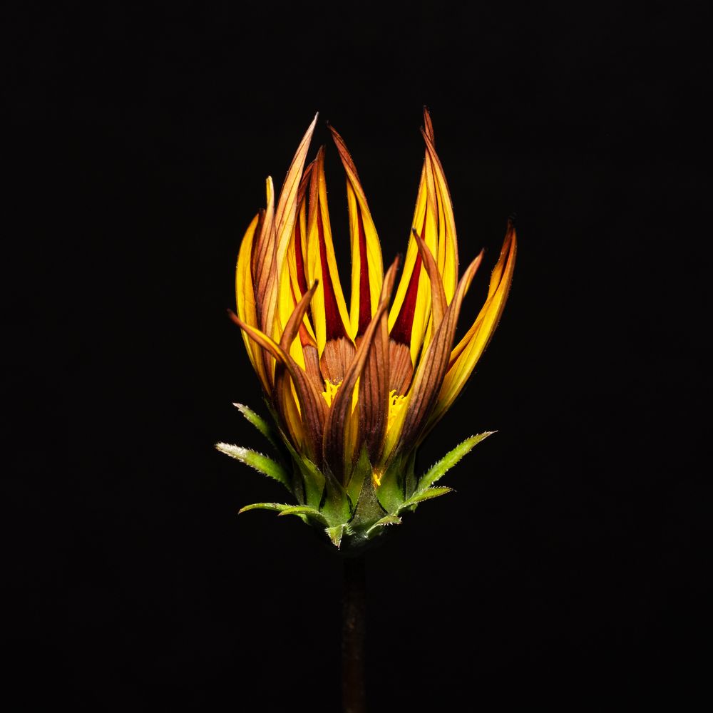 Photograph by Вадим К