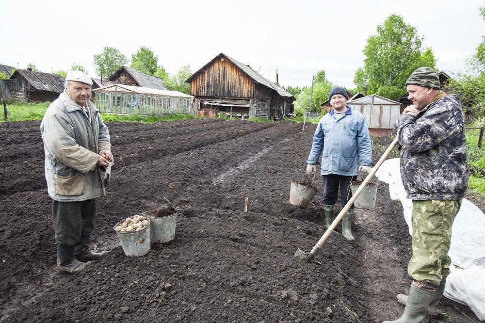Бесконечность не предел