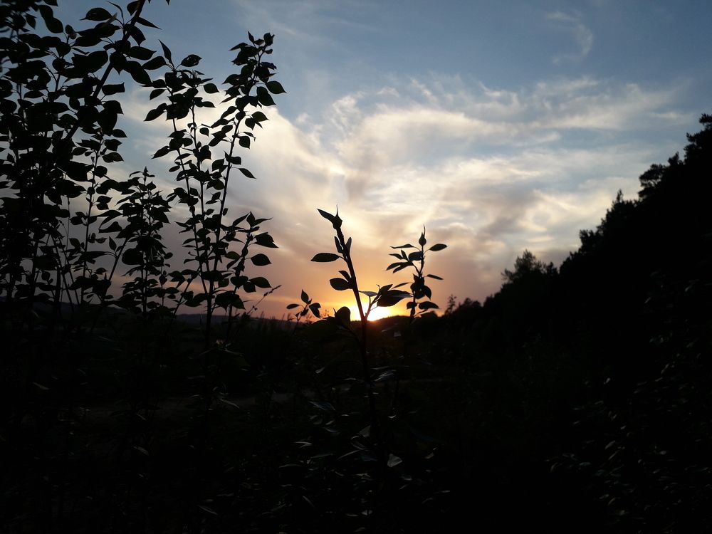 Photograph by Полина Денисова