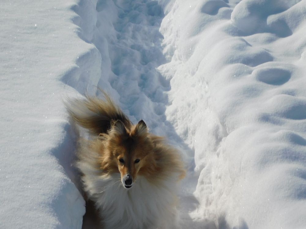 Photograph by Елена Любимцева