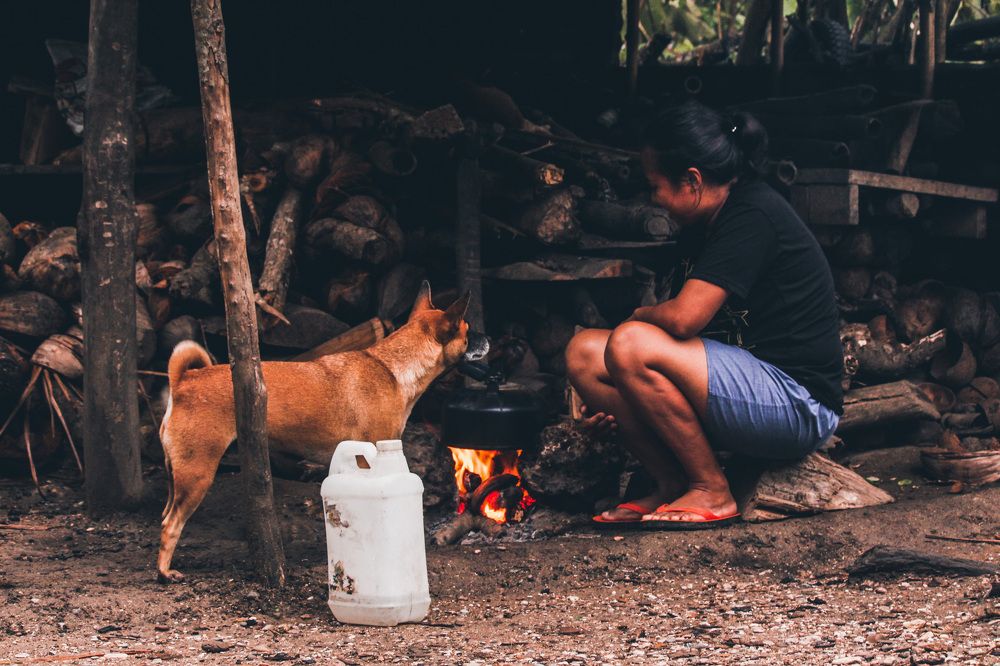 Cooking with firewood