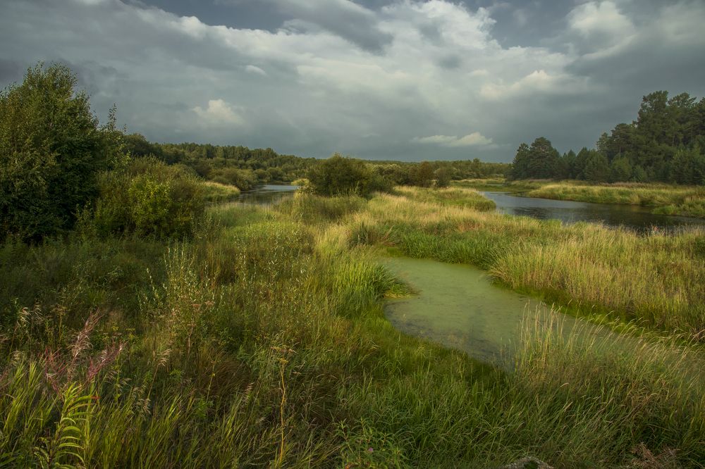 Photograph by федотов Алексей