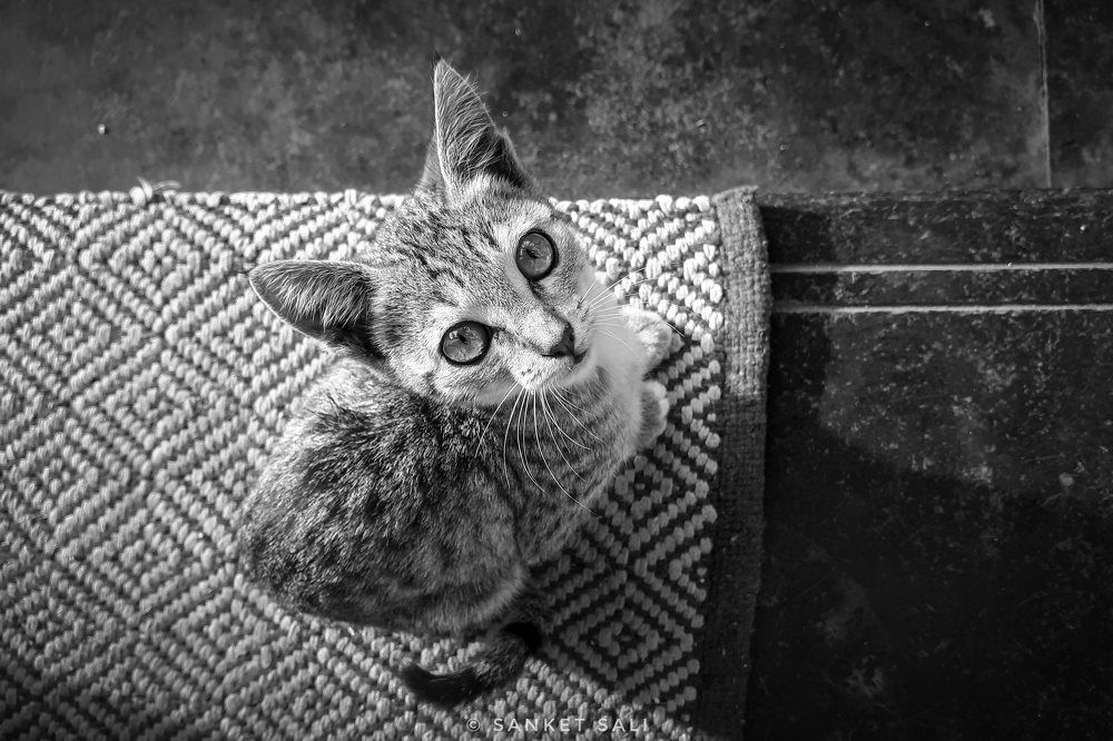 Photograph by Sanket Sali