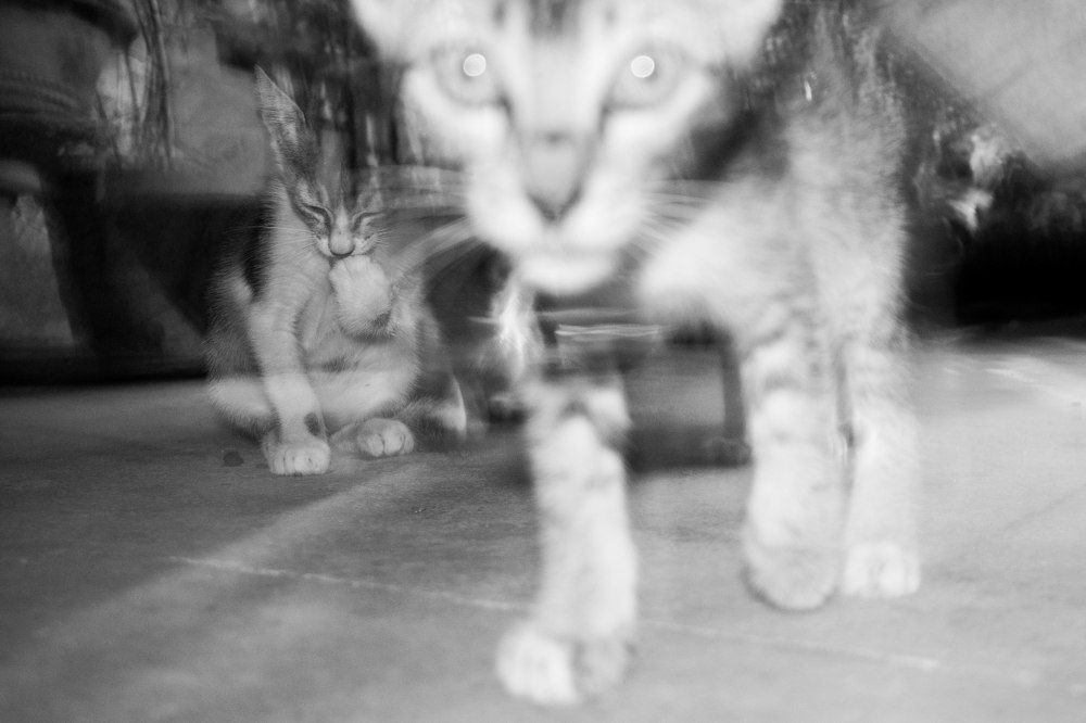 Photograph by Sanket Sali