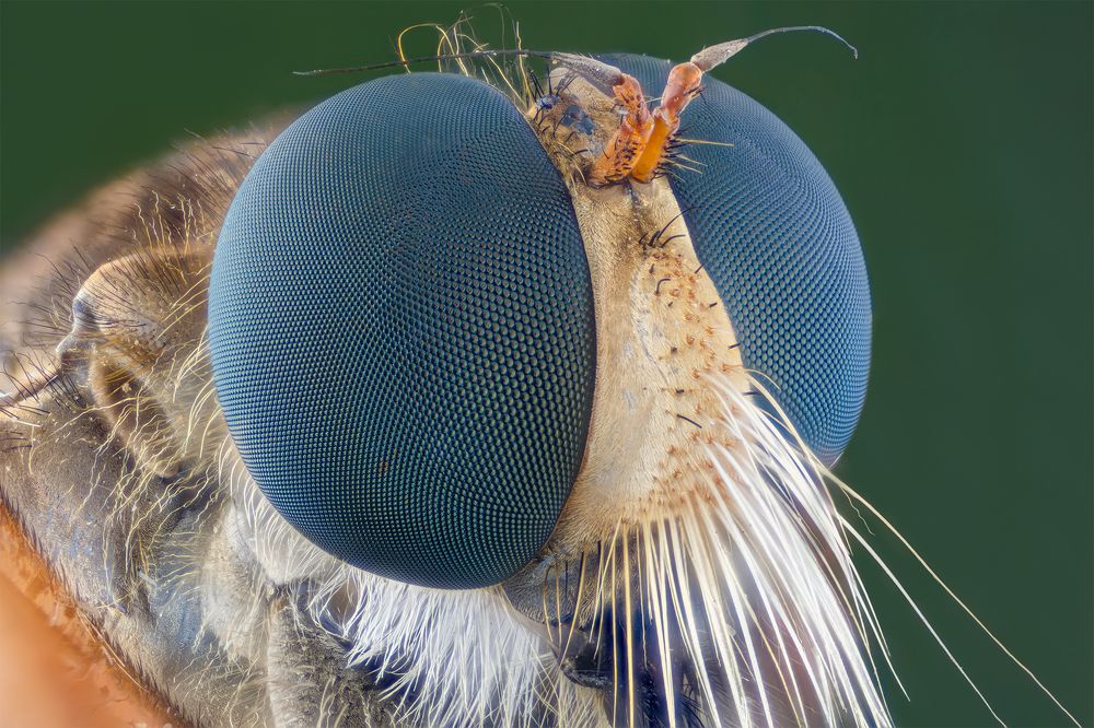 Photograph by Arts GPro