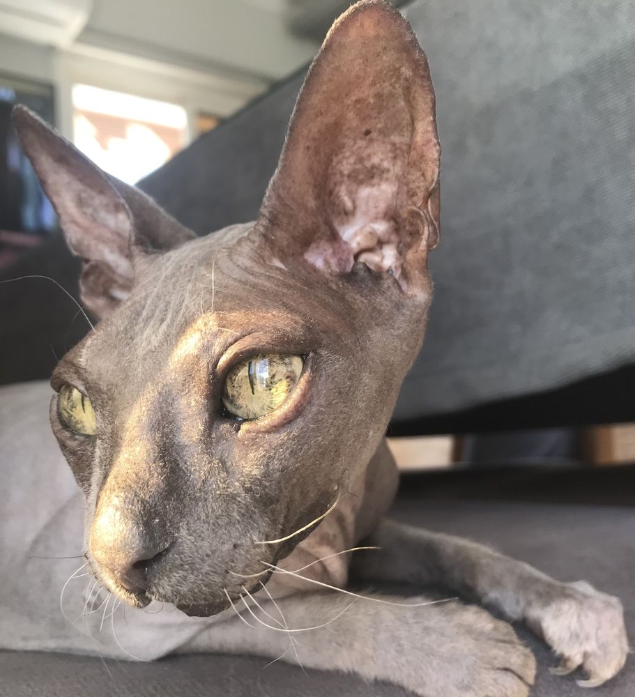 Photograph by Мария Берёзка