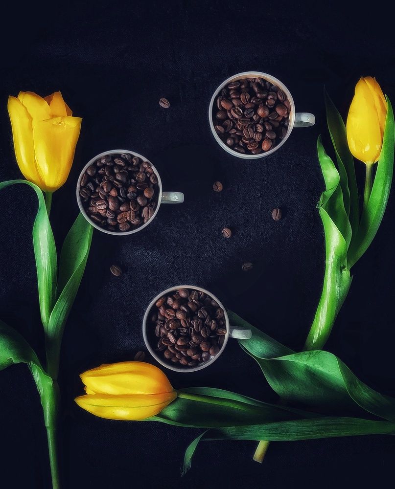 Фотография автора Ольга Игуменова