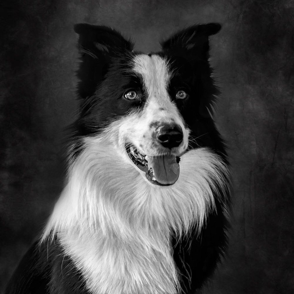 Photograph by Ricardo Sanchez Ruiz