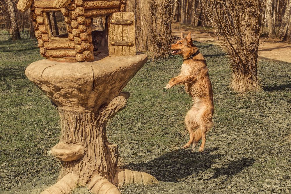 Фотография автора Oxana Brinzova