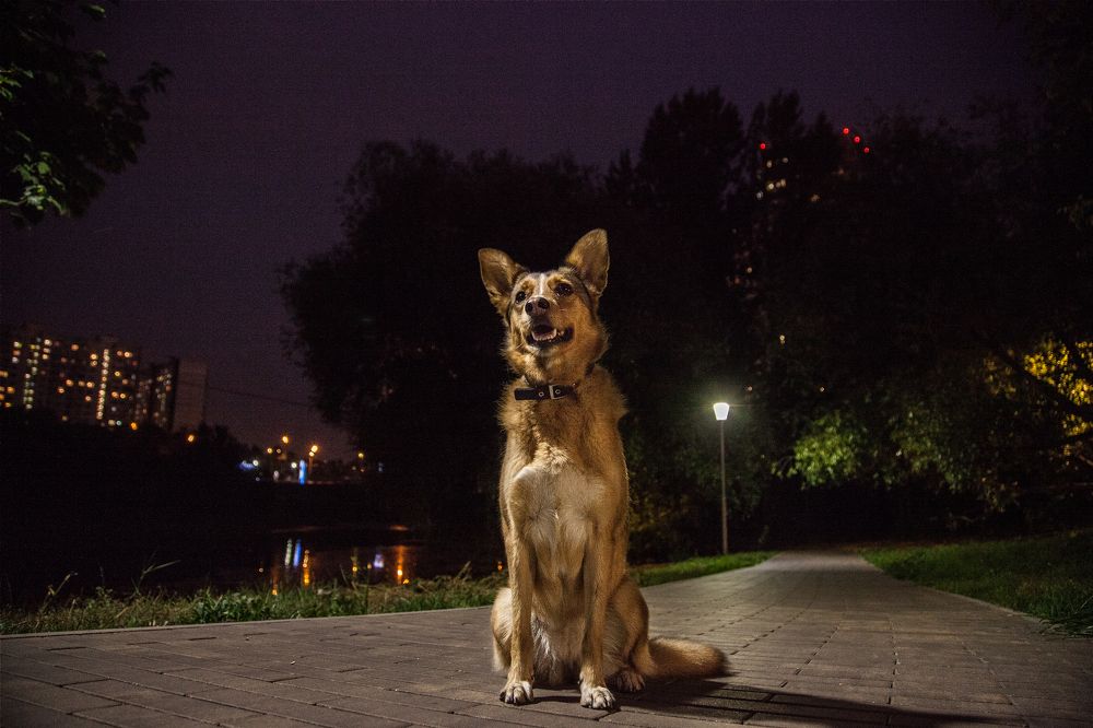 Фотография автора Oxana Brinzova