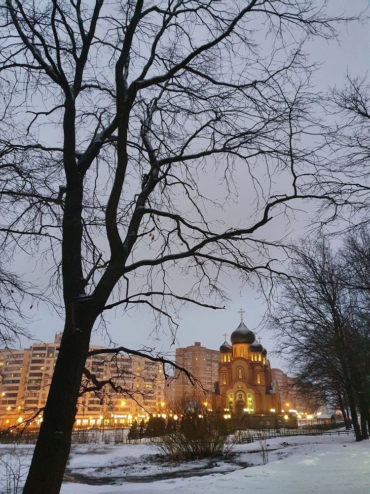 Фотография автора Андрей Рыбалко