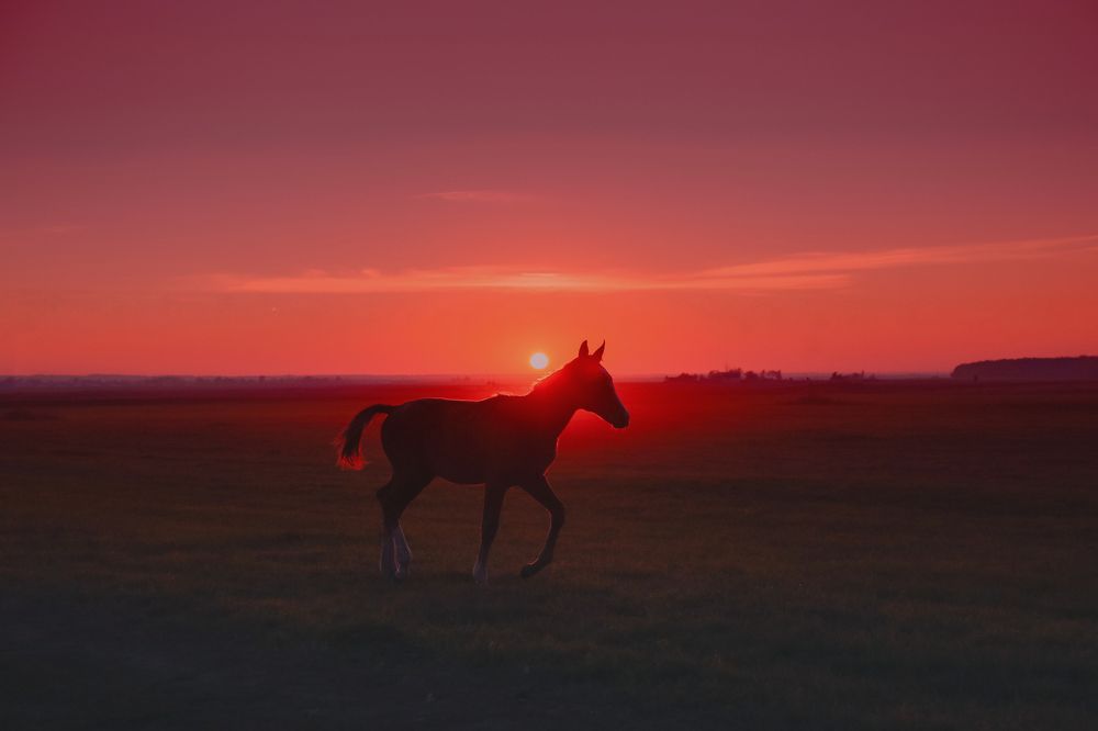 Photograph by Алеся Лущик