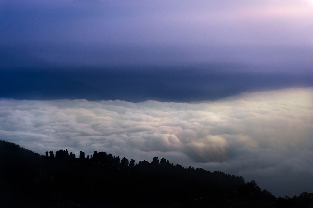 Photograph by SOUMADRI CHOWDHURY